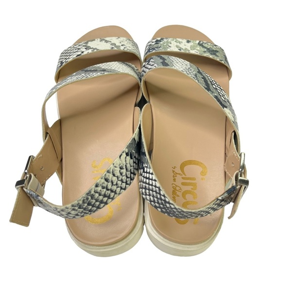 Circus by Sam Edelman Nadine Sandals Snake Print Womens US 9 - Picture 6 of 11